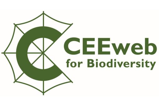 céglogó